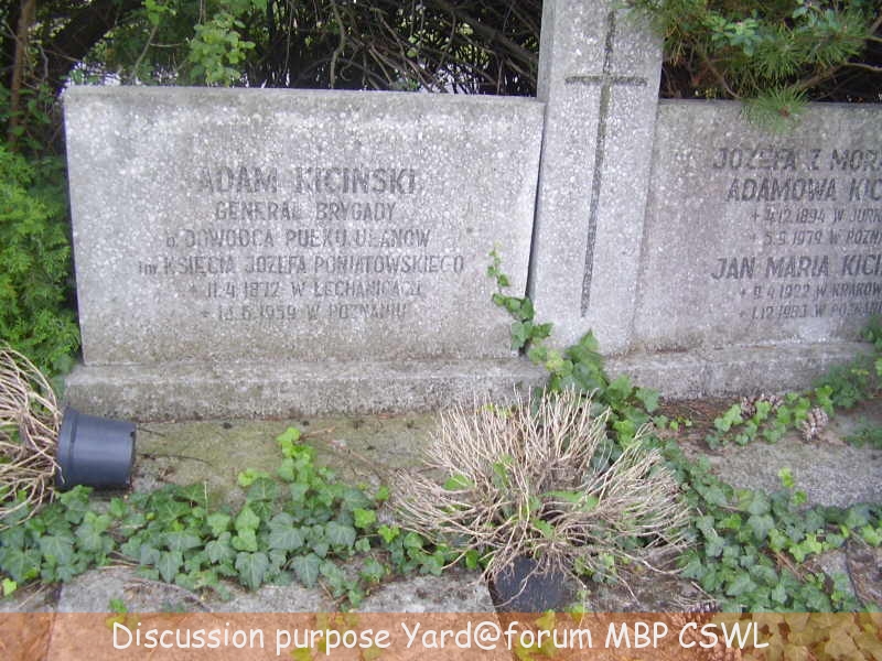 Fotki moje, "z dziś"